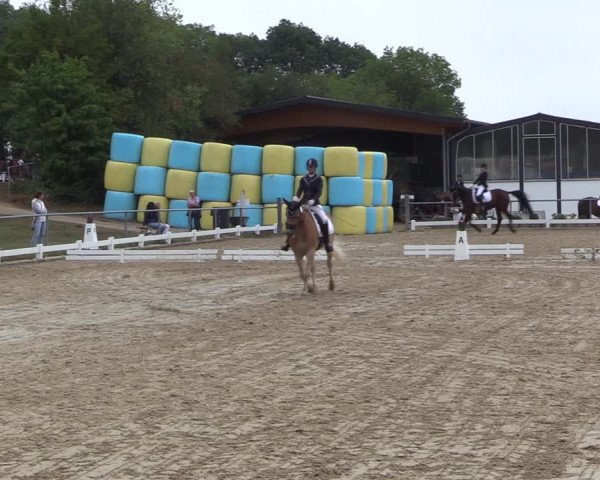 Reitturnier Bühren-Breckerfeld 2022