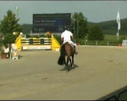 jumper Oaks Impala (KWPN (Royal Dutch Sporthorse), 2003, from Tangelo van de Zuuthoeve)