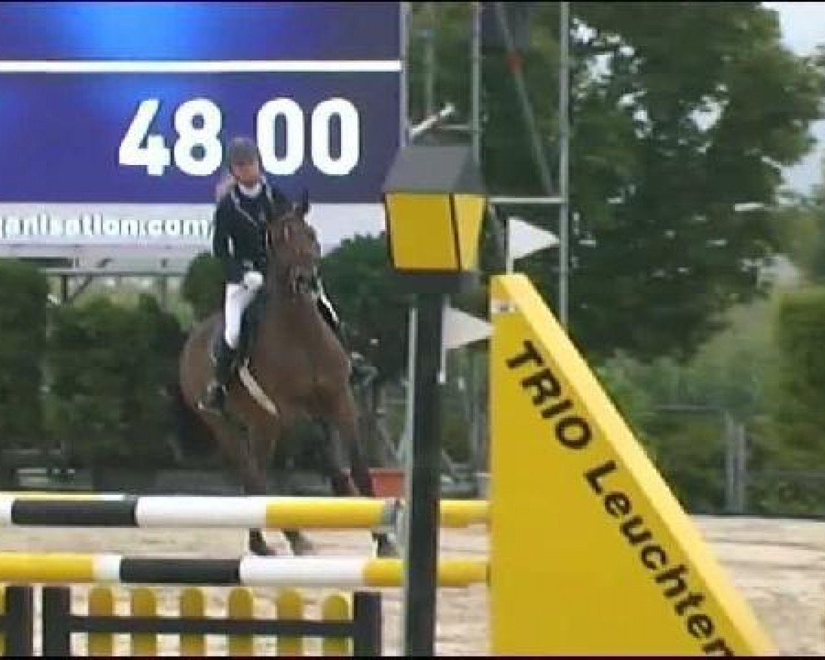 jumper Contador 17 (Holsteiner, 2007, from Cassini II)