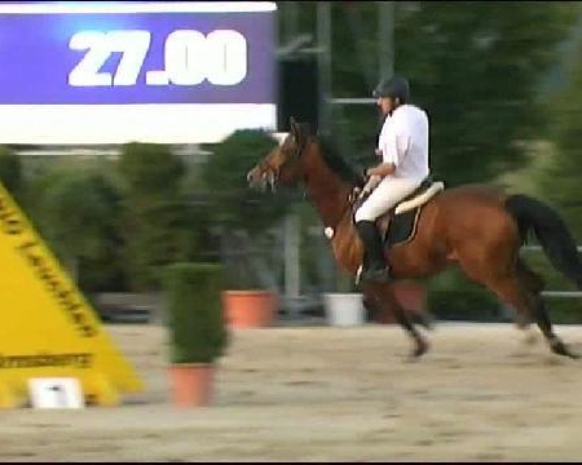 Springpferd Cuba Libre Supreme (Westfale, 2002, von Cordobes I)