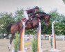 jumper Dobby (Hanoverian, 2015, from Diatendro)