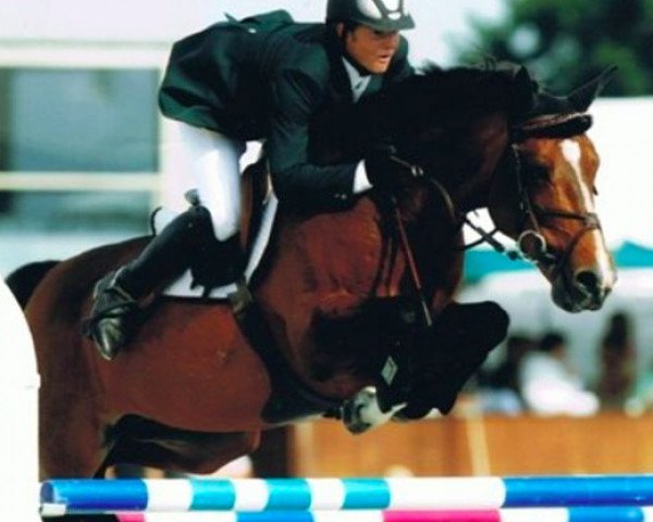 horse Quidam Junior (KWPN (Royal Dutch Sporthorse), 1996, from Quidam de Revel)