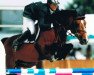 Pferd Quidam Junior (Koninklijk Warmbloed Paardenstamboek Nederland (KWPN), 1996, von Quidam de Revel)