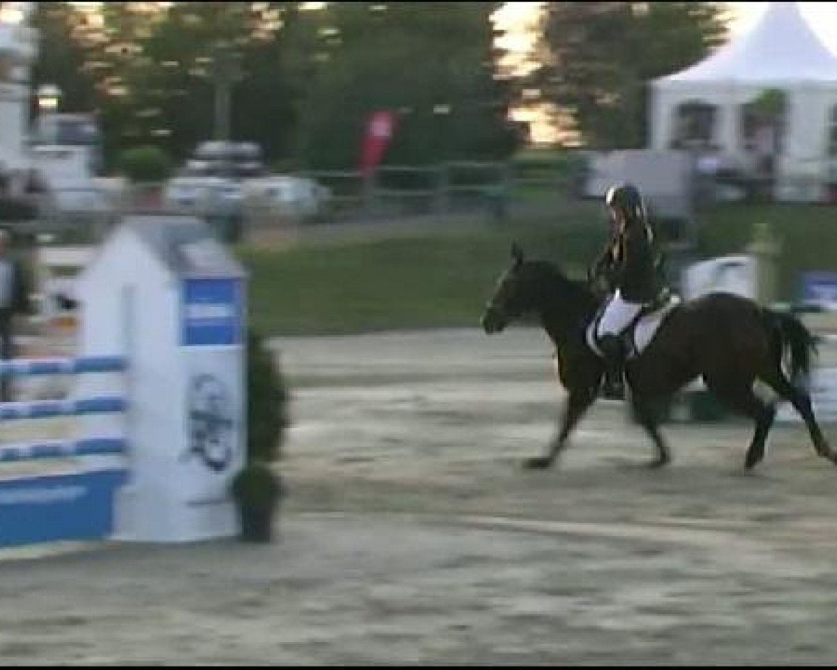 broodmare Fiorinna (Westphalian, 1997, from Florestan I)