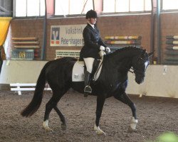 dressage horse Rose Noir N (Hanoverian, 2006, from Rascalino)