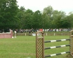 horse Calibro 9 (Oldenburg show jumper, 2002, from Equest Carnute)