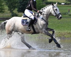 Springpferd Edelstein S (Holsteiner, 2012, von Legolas)