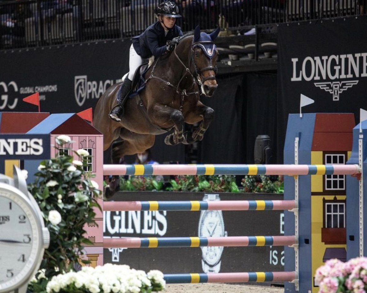 jumper Nativio van het Leliehof (Belgian Warmblood, 2013, from Bamako de Muze)