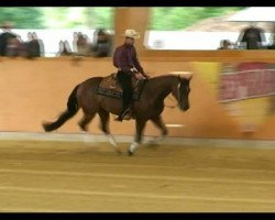 Pferd SSR Smart Charleyn (Quarter Horse, 2009, von As smart as Charley)