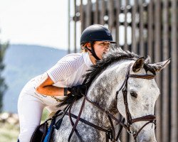 jumper Lucky Strike Fly Z (Zangersheide riding horse, 2016, from Le Coultre de Muze)