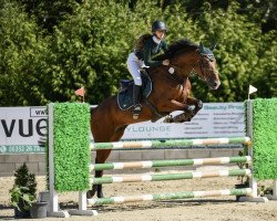 jumper Smoke On The Water 5 (Hanoverian, 2017, from Stolzenberg)