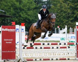 jumper Delinda V (Danish Warmblood, 2016, from Der Senaat 111)