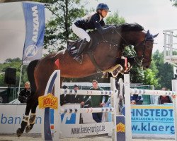 jumper Debby T (Oldenburg show jumper, 2015, from De Quidam)