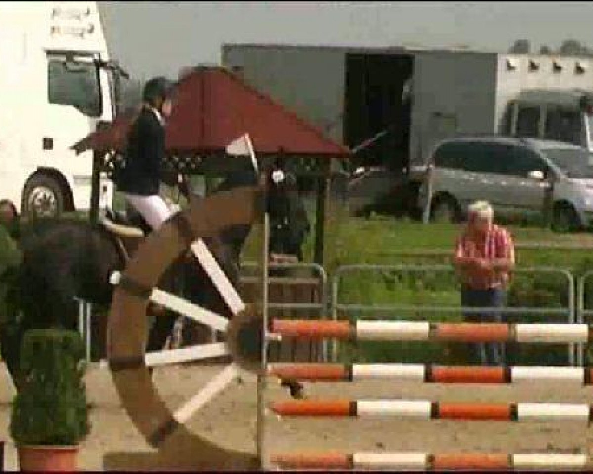 dressage horse Don Christobal 4 (Westphalian, 2006, from Don Bedo I)