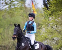 dressage horse Aiko 17 (German Riding Pony, 2004, from Astral)