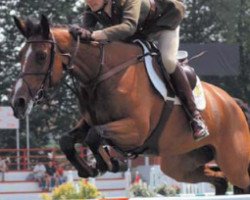 broodmare Killossery Kruisette (Irish Sport Horse, 1994, from Cruising)