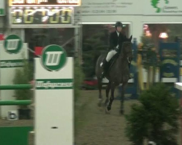 broodmare Kaja (Oldenburg, 1999, from Linaro)