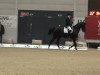 dressage horse Figo RH (Westphalian, 2003, from Florestan I)