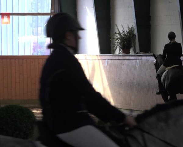Reitturnier Hamburg-Bergstedt 2022