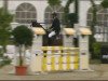 jumper Calimero 550 (Hanoverian, 2007, from Calido I)