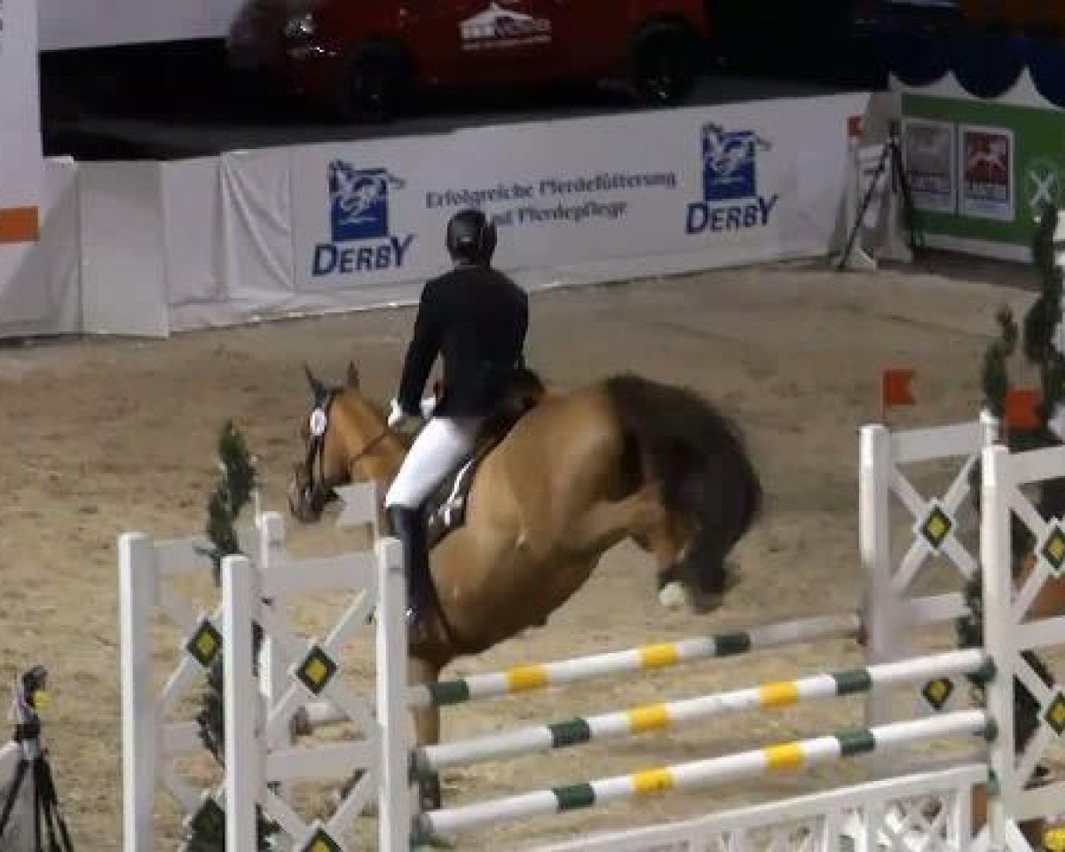 jumper Pochino de Pico (Westphalian, 2001, from Pik Labionics)
