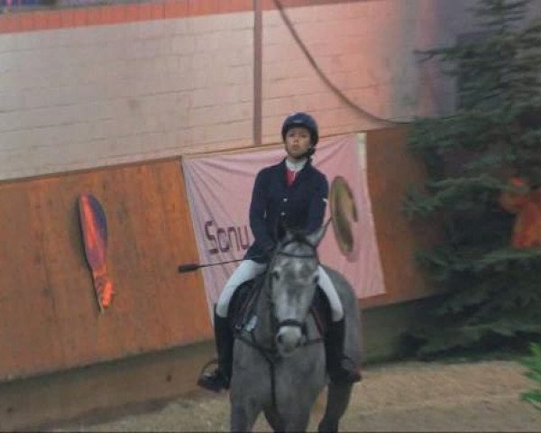 broodmare Acanuar (Rhinelander, 2004, from Acorado's Ass)