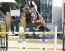 jumper S.I.E.C Laila (KWPN (Royal Dutch Sporthorse), 2016, from Vigaro)