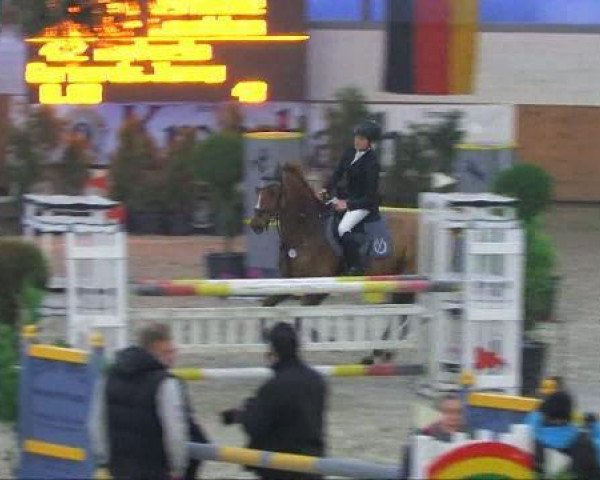 Pferd Raphaela (Rheinländer, 2002, von Raphael)