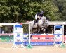 jumper Dilia 3 (Hanoverian, 2015, from Diacontinus)