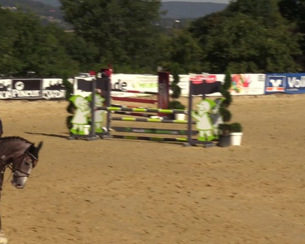 Reitturnier Vlotho-Valdorf 2022