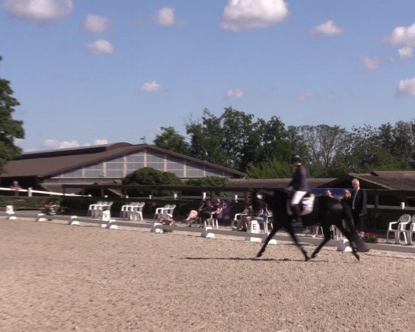 Reitturnier Müncheberg 2022