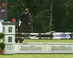 dressage horse Coronado-K (Hanoverian, 2002, from Cordoba)