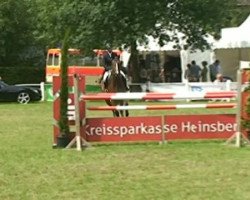 jumper Larry 200 (Oldenburg show jumper, 2002, from Landgold)