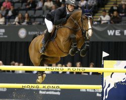 broodmare Iphigeneia de Muze (Belgian Warmblood, 2008, from Erco van het Roosakker)