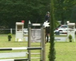 dressage horse Random 7 (Hanoverian, 2000, from Rotspon)