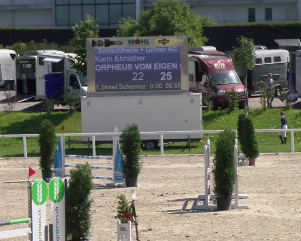 Reitturnier Bülach 2022