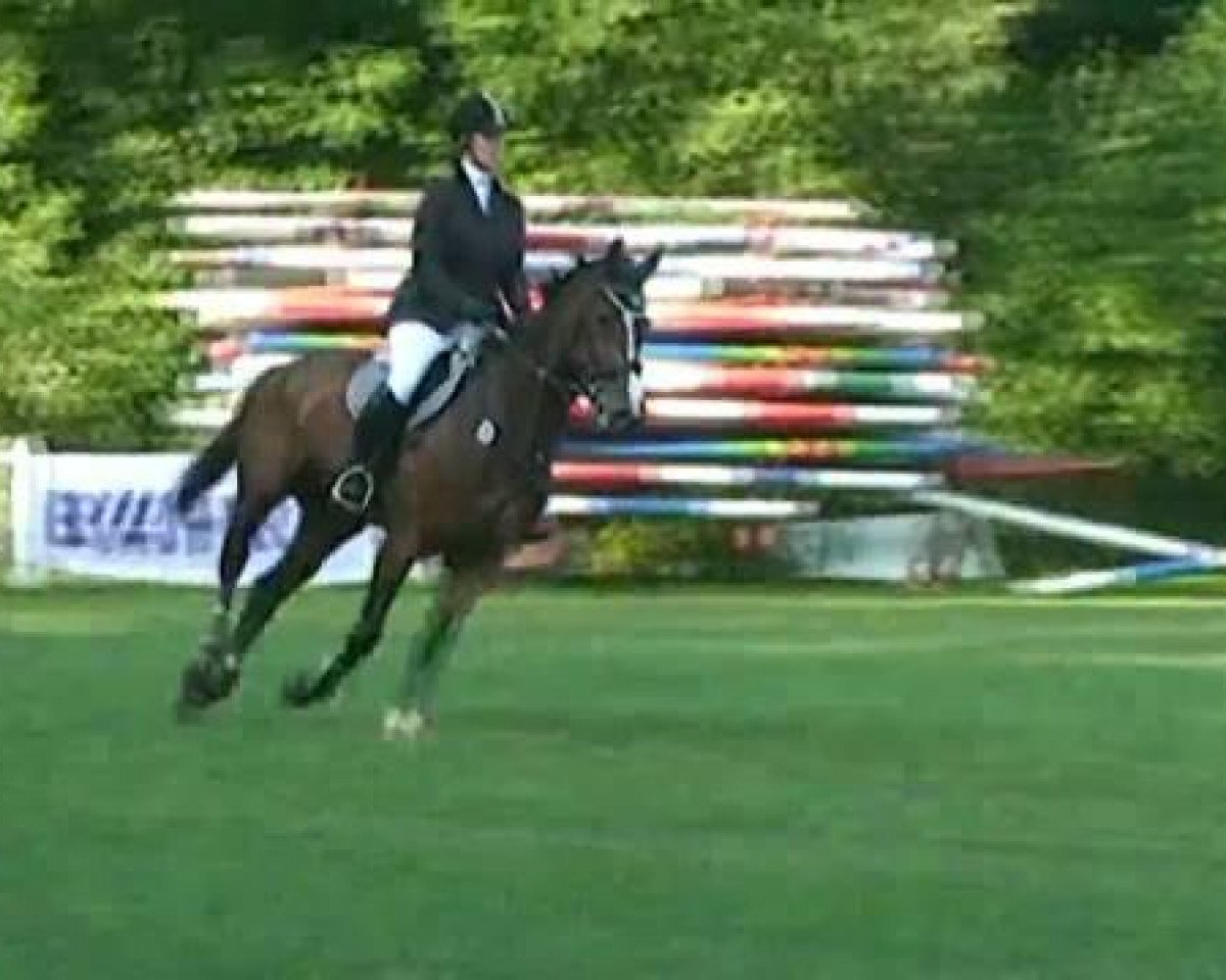 Pferd Evita 367 (Westfale, 2004, von Ehrentusch)