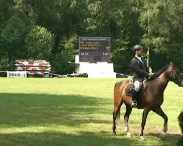 horse Lucky Luka (Rhinelander, 2002, from Lancer II)