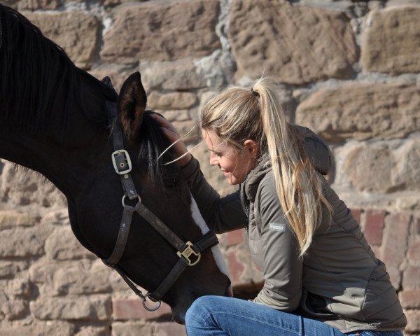 dressage horse Zoom's Unikat (Hanoverian, 2018, from Zoom)