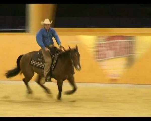 Pferd Sophies Little Jewel (Quarter Horse, 2007, von Heavens Little Jewel)