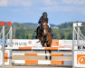 jumper Madness R (German Riding Pony, 2008, from Auheim's Maximus)