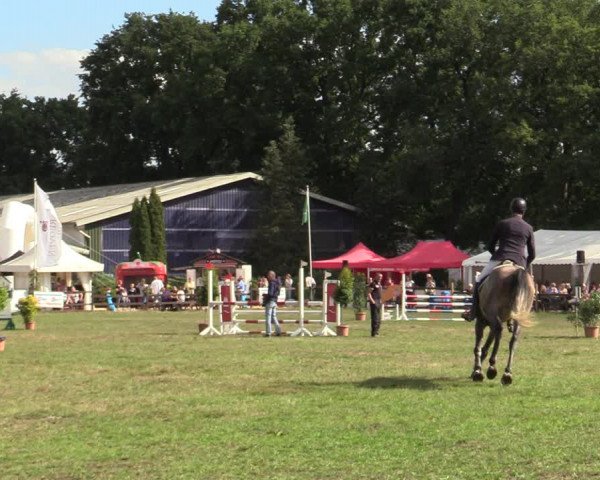 Reitturnier Hamburg-Bergstedt 2022
