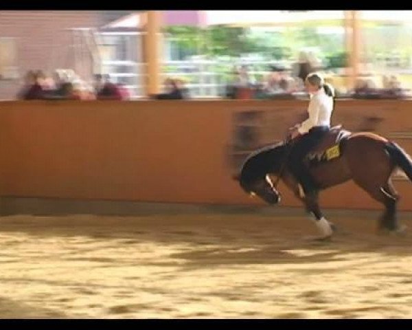 horse Fury's First Class (Quarter Horse, 2005, from Smart Little Fury)