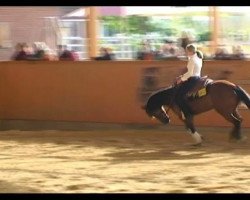 Pferd Fury's First Class (Quarter Horse, 2005, von Smart Little Fury)