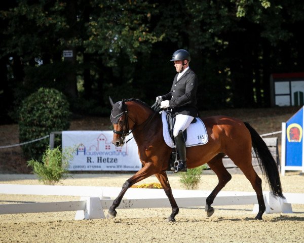 dressage horse Ribana Royal (Westphalian, 2013, from Rock Forever NRW)