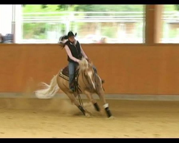 Pferd Bueno Sayo (Quarter Horse, 2005, von Sayos Shining Sun)