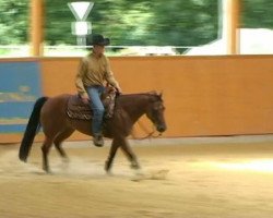 Pferd LF Freckles Chexinic (Quarter Horse, 2007, von Bueno Chexinic)