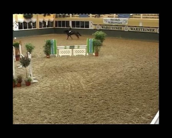 jumper Elasto (Hanoverian, 2005, from Earl)