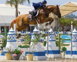 Springpferd Emerald Sitte (Belgium Sporthorse, 2010, von Nabab de Rêve)