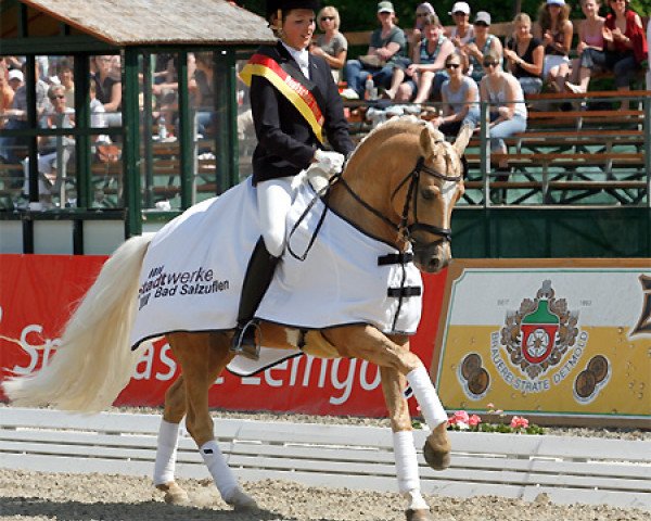 stallion Donnertraum 2 (German Riding Pony, 2001, from Donnerwetter)